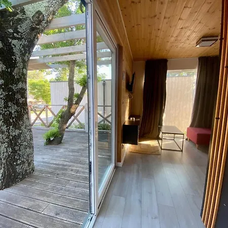 Elements Mobile Homes 3*