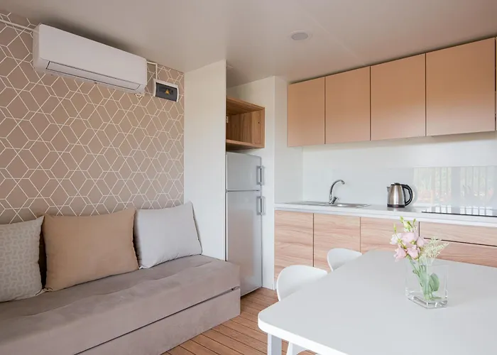 Elements Mobile Homes 3*